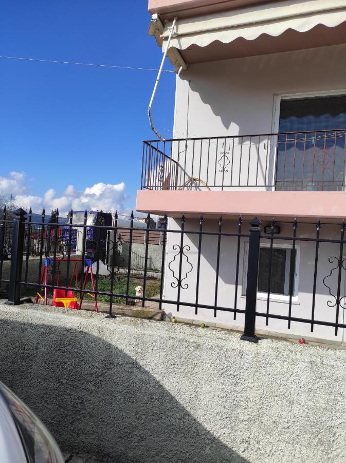 Amaltheia Studio Διαμέρισμα Ιωάννινα Εξωτερικό φωτογραφία